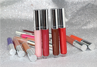 Brillant à lèvres longue durée, résistant à l'eau et à la chaleur, teinte Sexy, Gloss velours mat, Nude, liquide