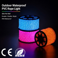 Guirlande lumineuse LED en PVC, rouleau de 100 m, étanche IP67, flexible, RGB blanc, découpable, pour extérieur, jardin, aménagement paysager, bordure de bâtiment, allée