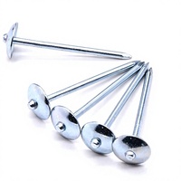 Clous de toiture en aluminium robustes pour camping-cars avec finition résistante aux intempéries