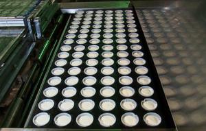 Tùy Chỉnh Đường Hầm Bánh Lò Nướng Máy Thép Không Gỉ Lò Nướng Bánh Cho Dây Chuyền Sản Xuất Bánh - Product Image 5