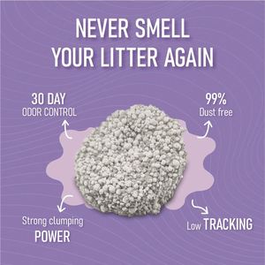 Litière pour chat en bentonite biodégradable écologique 5KG, sans poussière, agglomérante naturelle, jetable aux toilettes, hautement absorbante, contrôle des odeurs, sable pour chat - Product Image 2