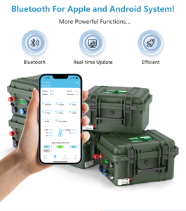 CERRNSS EU Stock Batería Portátil Solar para RV con Bluetooth 12V 100Ah 150Ah 300Ah LiFePO4, Paquete de Baterías de Iones de Litio Metálicas 24V 200AH - Product Image 4