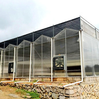 Serre professionnelle de grande taille en polycarbonate avec structure en acier galvanisé à chaud et panneaux PC pour l'agriculture et la culture de légumes