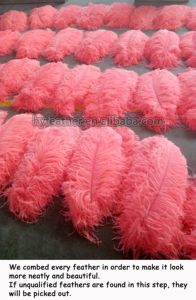 65CM 70CM Plumas Naturel Floral DIY Artisanat Centres De Table Grand rose Brun Plume D'autruche pour Carnaval Fête Décor À La Maison - Product Image 4