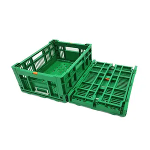 带标志折叠收获板条箱的小型可折叠水果蔬菜板条箱运输