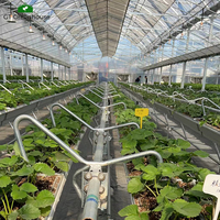 Serre multi-spans GT avec ventilation pour la culture de légumes