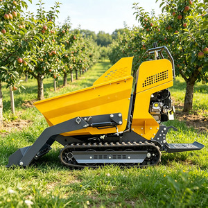Mini Camión de Carga, Volquete Agrícola Portátil con Capacidad de Carga de 500 kg, Adecuado para Huertos y Granjas - Product Image 1