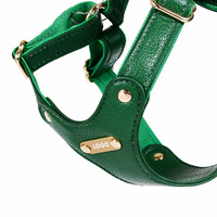 Ensemble laisse et harnais pour chien en cuir véritable de luxe, imperméable, anti-adhérent aux poils, anti-traction, pour chiens de petite et moyenne taille