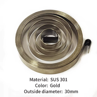 Ressorts de torsion en spirale plats de ressort d'horloge de Xinxuhong avec la coutume de qualité assurée