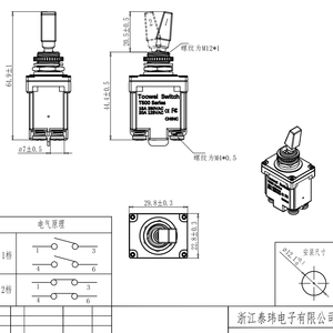 Fabricante de interruptores TOOWEI 2 polos 4 pines 12V 220V 2 posiciones interruptor de palanca de encendido/apagado - Product Image 4