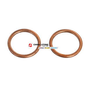 Высокое качество <span class=keywords><strong>2</strong></span> 447 010 011 Ремонтный комплект для дизельного двигателя VE Pump <span class=keywords><strong>2</strong></span> 447 010 011 для Dongfeng Tianlong KL VL для Renault - Product Image 4