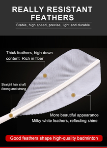 Volants de <span class=keywords><strong>badminton</strong></span> DHS <span class=keywords><strong>Double</strong></span> Happiness modèle 402A de haute qualité, 6 pièces - Product Image 4