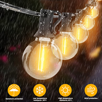 Guirlande lumineuse LED à boules suspendues pour intérieur et extérieur, blanc chaud, ampoules décoratives pour fêtes et vacances, vente chaude