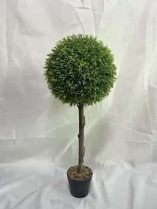 APT 2025 <span class=keywords><strong>cedro</strong></span> artificial ciprés Pino planta imitación boj topiario verde bonsái <span class=keywords><strong>de</strong></span> Guangdong para decoración al aire libre - Product Image 3