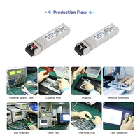 Transceiver 10G SFP+ SR 850nm 300m LC Duplex MMF Modul Serat Optik Multi-mode DDM untuk Switch Jaringan Ethernet Kecepatan Tinggi