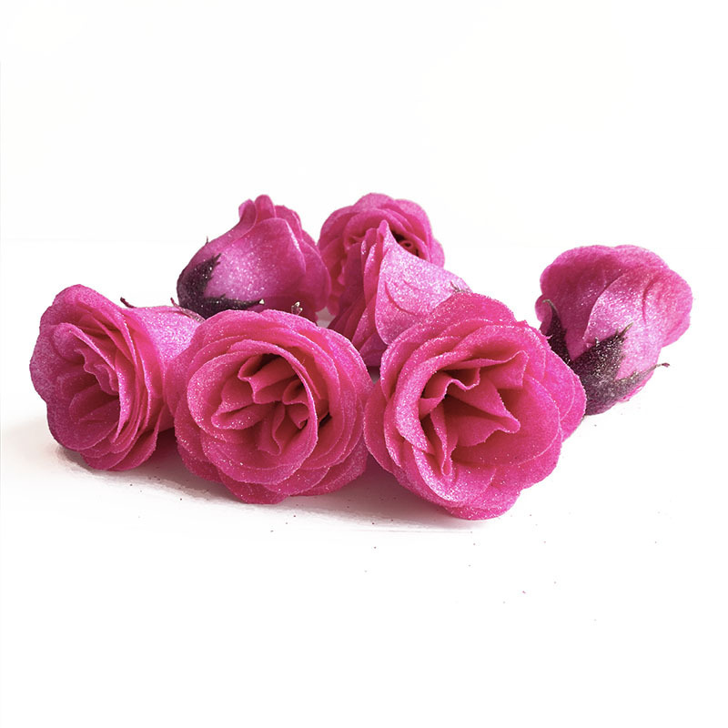 ROSA ROSA