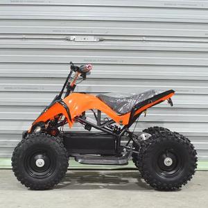 Batteries pour Kart Électrique 36V 500W 20KM/H Tout-Terrain Plage Drift Racing <span class=keywords><strong>WOWEI</strong></span> Transmission par Chaîne - Product Image 5