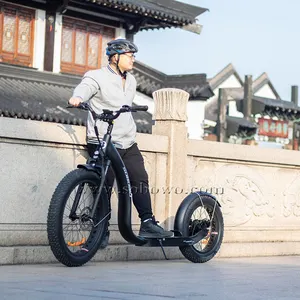 Magazzino ue/usa Drop shipping Sobowo ruote più grandi footbike kickbike ponti larghi scooter elettrico per adulti