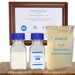 NSF chứng nhận flocculant và coagulant xử lý nước phụ gia nhôm Chlorohydrate ach bột CAS no. 12042-91-0