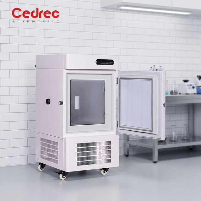 Hot Selling Vertical -40℃ Freezer Small Capacity 58L 86 Ultra-low Temperature Freezer Refrigerator Fridge for Vaccine