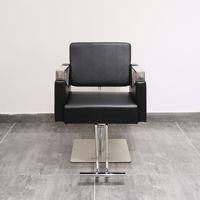 Fauteuil de Barbier Commercial en Acier Inoxydable Luxe Léger avec Fonctions de Levage et de Rotation, Design Moderne pour Services de Permanente et de Coloration