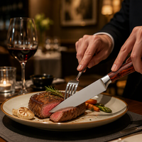 Ensemble de 6 couteaux à steak en acier inoxydable avec lame dentelée, manche en ABS, bloc à couteaux, couteaux à steak pour la cuisine, pour restaurant et usage domestique