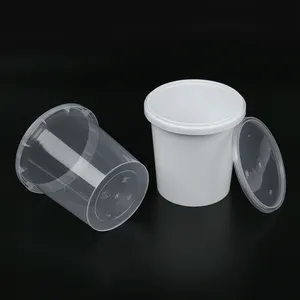 Groothandel Wegwerp Pp Transparante Afhalen Verpakking Plastic Voedsel Containers Takeaway Box Met Deksels