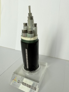 Câble d'alimentation à 2 conducteurs en aluminium basse tension de haute qualité NYY/<span class=keywords><strong>U1000</strong></span>/<span class=keywords><strong>R2V</strong></span>, isolé en PVC, ignifuge, gainé en PVC, pour usage en construction - Product Image 6
