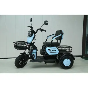 E Bikes 2023 Elektrische Fiets Cargo 3-wiel Elektrische Fiets Scooter Staal 60V Gesloten Eec Trike Automatische Fiets