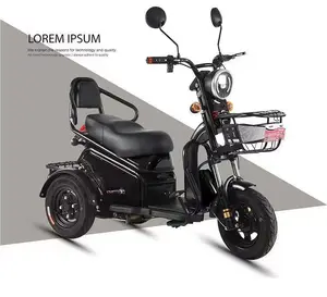화물 전기 E 세발자전거 500W Differiential 모터 Electrico Tricicle 전기 자동차 Tricycles
