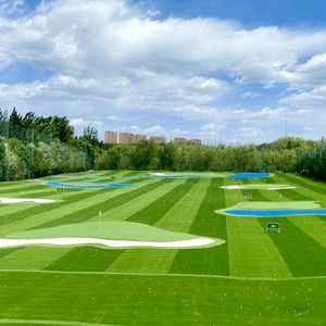 عشب صناعي عالي المرونة 15 مم للجولف، حصيرة احترافية للعب في الملاعب الرياضية، رائجة في السوق الأمريكي - Product Image 4