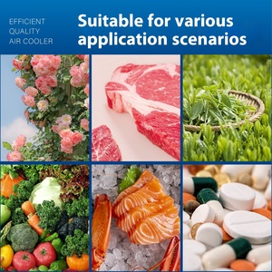 220V Hoàn Chỉnh Lạnh Thiết Bị Lưu Trữ Nhanh Chóng Đóng Băng Ice Kho Lạnh Đơn Vị Cho Trái Cây Thịt Đóng Băng Container - Product Image 4