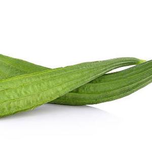 Calabaza de Primera Calidad, 1 kg, Marca HP Valia, Congelada al Vacío (IQF), para Cocinar Curry, Uso en Restaurantes - Product Image 4