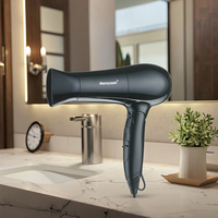 Sèche-cheveux professionnel pliable ionique 1875W pour salon, avec concentrateur en plastique et réglages de chaleur pour hôtels et usage domestique