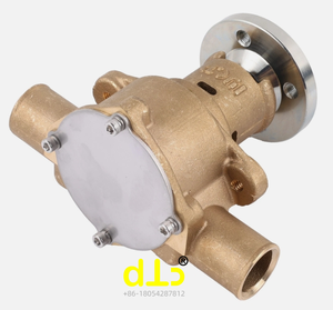 Bomba de Agua Cruda Sherwood P1014 P101 P1011 P1012 P1015 Crusader RA057031 RP061017 para Maquinaria de Construcción - Product Image 1