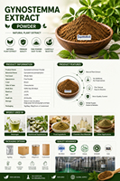 Extrait de Jiaogulan de haute qualité 10:1 20:1, extrait de Gynostemma Pentaphyllum soluble dans l'eau, extrait de thé de Gynostemma de qualité alimentaire en vrac
