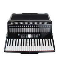 Accordéon professionnel haut de gamme 120 basses 41 touches, instrument de musique à boutons, vente en gros