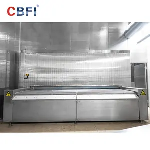 Industrieller hochwertiger gefrorener Fisch Iqf Individual Tunnel Quick Freezer