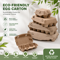 Empaque Ecológico para 7 Huevos, Fabricado con Pulpa Reciclada, Fibra Moldeada, Biodegradable, Resistente a Impactos, Apilable, Bandeja para Huevos OEM