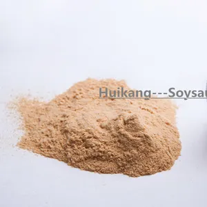 Instant Concentrated Soy Sauce Powder