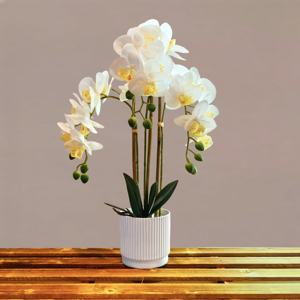 Nuovo stile orchidea vero tocco per sempre <span class=keywords><strong>fiori</strong></span> <span class=keywords><strong>vaso</strong></span> per piante <span class=keywords><strong>fiori</strong></span> artificiali decorativi - Product Image 2
