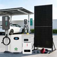 Kit solaire hors réseau toutes saisons équipé d'une batterie LiFePO4 amovible sur roues pour l'alimentation électrique des villas rurales