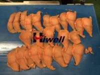 Trancheur multi-angle automatique, pour seins de poulet, de saumon et de poisson fumé