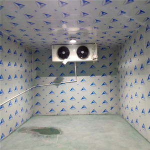 -40องศา <span class=keywords><strong>C</strong></span> พลังงานแสงอาทิตย์คอมเพรสเซอร์ Walk-In ตู้แช่แข็ง Chamber - Product Image 2