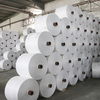 Rouleau de tissu tissé en PP jaune, tissu en polypropylène blanc haute résistance pour la fabrication de sacs tissés FIBC, sacs jumbo, usine d'emballage plastique