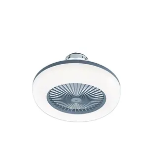 New arrival different colors Indoor 220 volts ceiling fans with lights