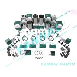 V2203 V2203E Overhaul rebuild Kit Kubota Bobcat Indirect Inject Engine W Valves