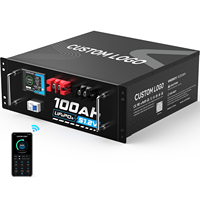 Batterie LiFePO4 51,2 V 100 Ah pour montage en rack, 5,12 kWh, batterie LFP pour rack de serveur, pour stockage d'énergie solaire