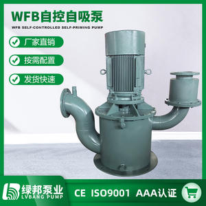 Bombas Autocebantes Verticales de Acero Inoxidable WFB Suministradas por el Fabricante, Bomba de Aguas Residuales sin Sello de Alta Capacidad de Succión - Product Image 2