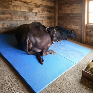 Lightweight EVA Rubber Cow Mat High Elasticity Stable <b>Flooring</b> Anti Slip Waterproof Dairy Farm <b>Mattress</b> Durable Livestock Beddi - Product Image 1